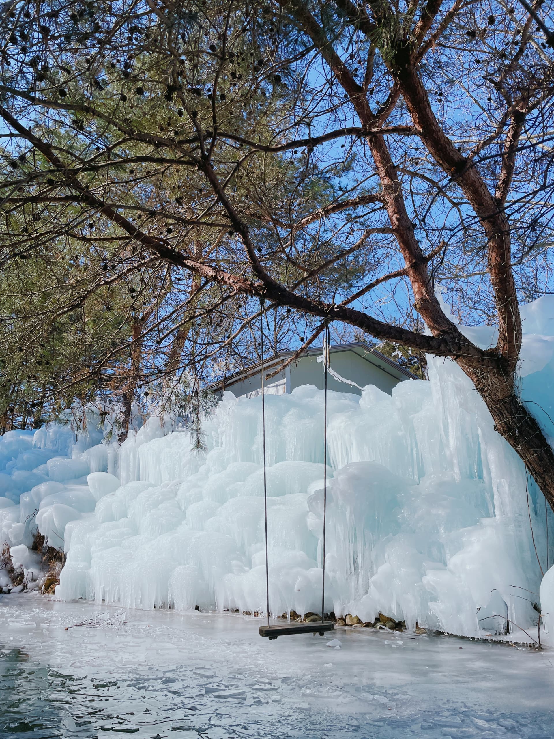 Gyeongju Kookmin Healing Park, Daegu Seomun Market, Songhae Park Ice Wall Full-Day Tour from Busan - image 8