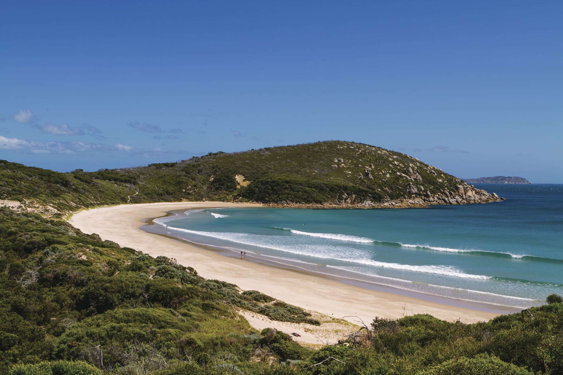 Wilsons Promontory National Park Tour from Melbourne - image 5