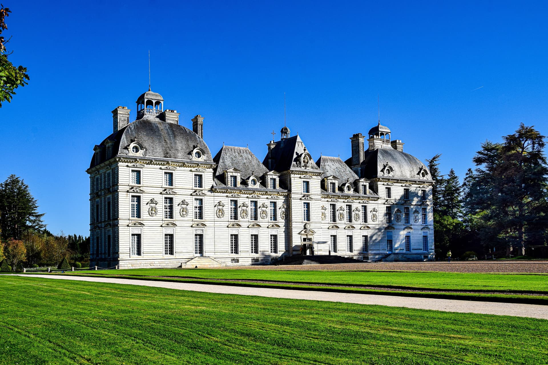 Loire Valley Tour from Paris: Chambord, Chenonceau, and Cheverny Castles - image 6