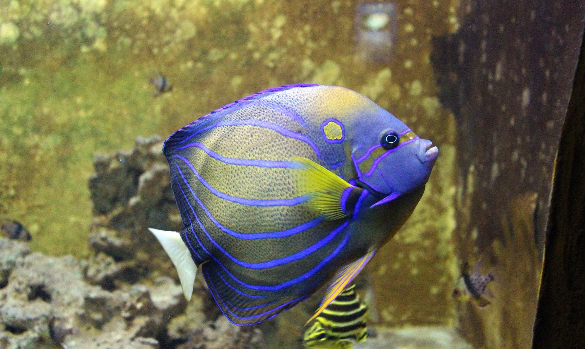 Yehliu Ocean World - image 11