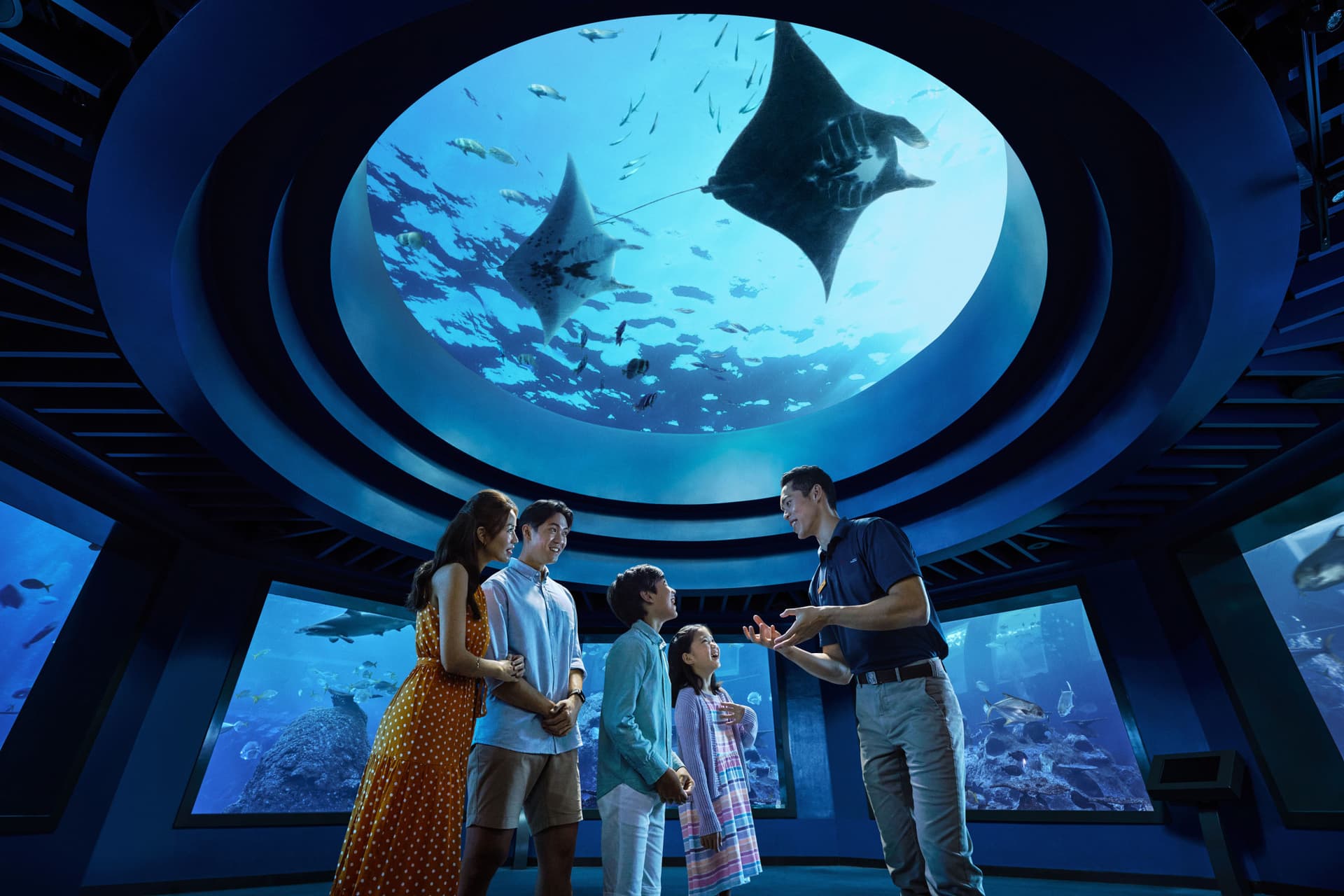 Singapore Oceanarium Ticket - image 12