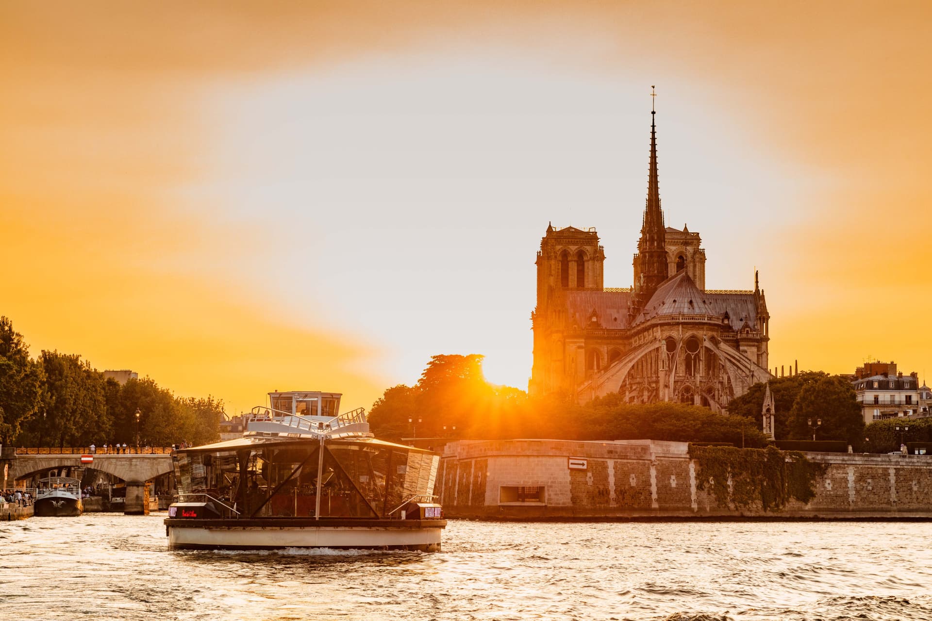 Seine River Sightseeing Cruise by Bateaux Mouches - image 3