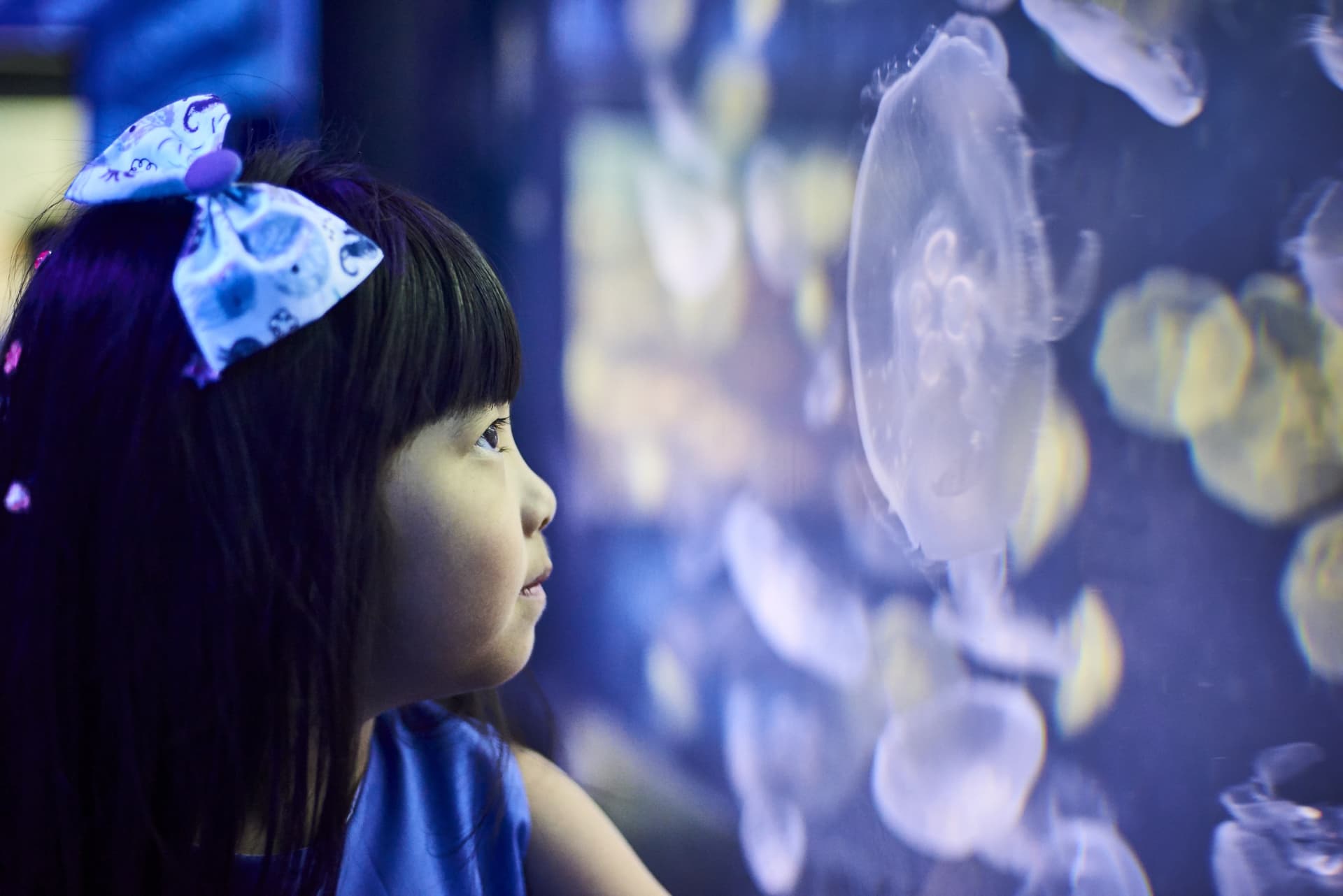 SEA LIFE Melbourne Aquarium Direct Entry Ticket - image 12