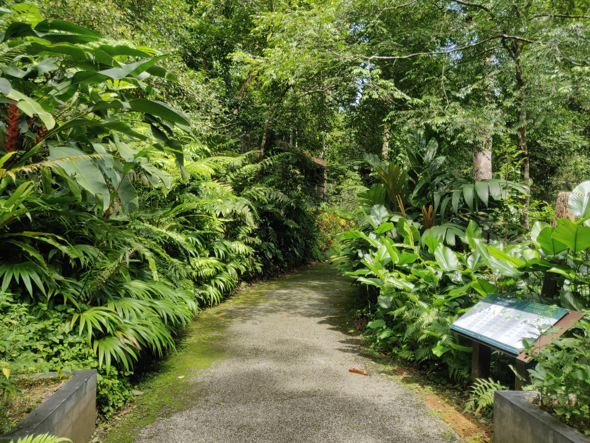The Habitat Penang Hill Ticket - image 20