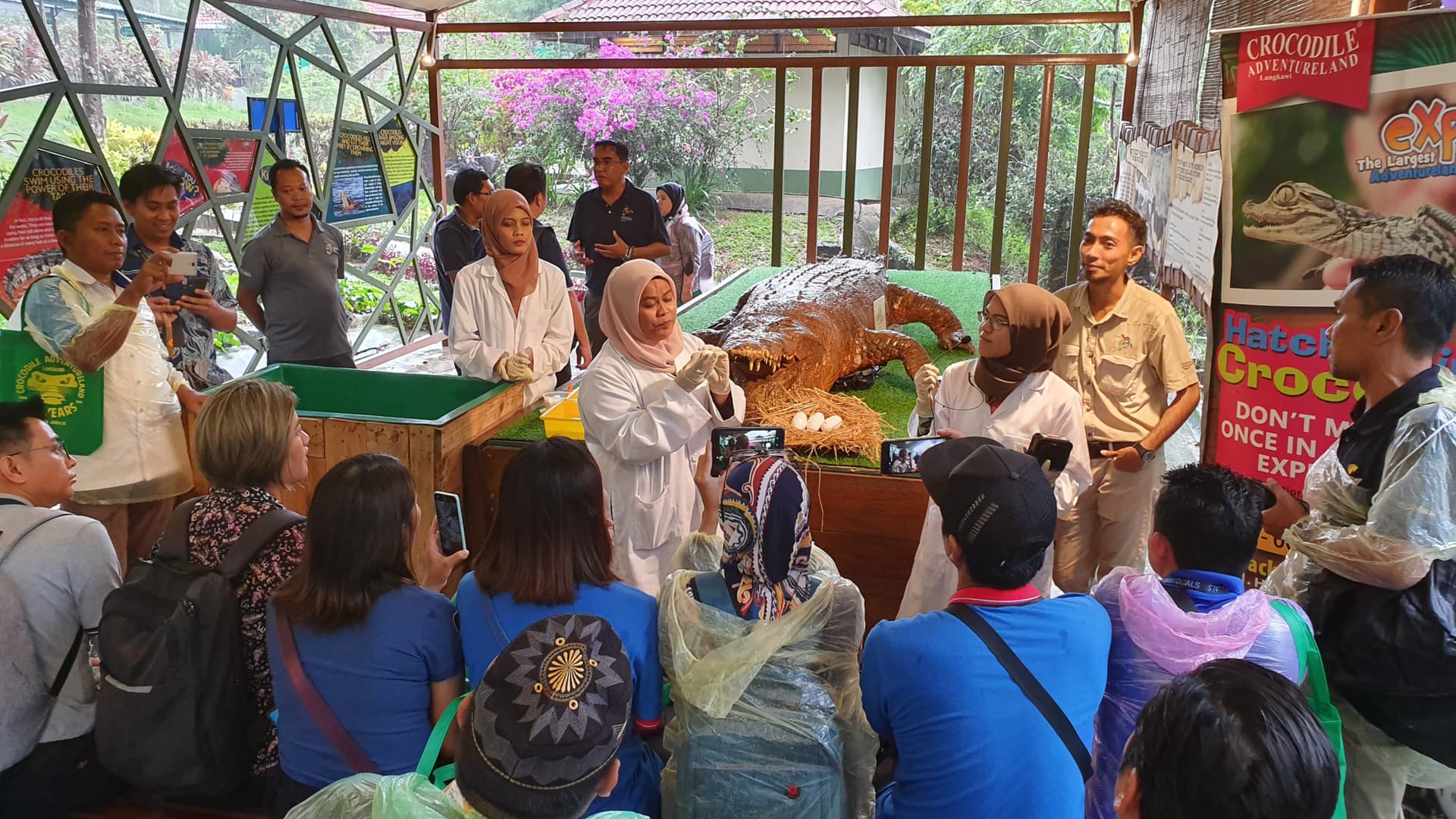 Crocodile Adventureland Langkawi - image 13