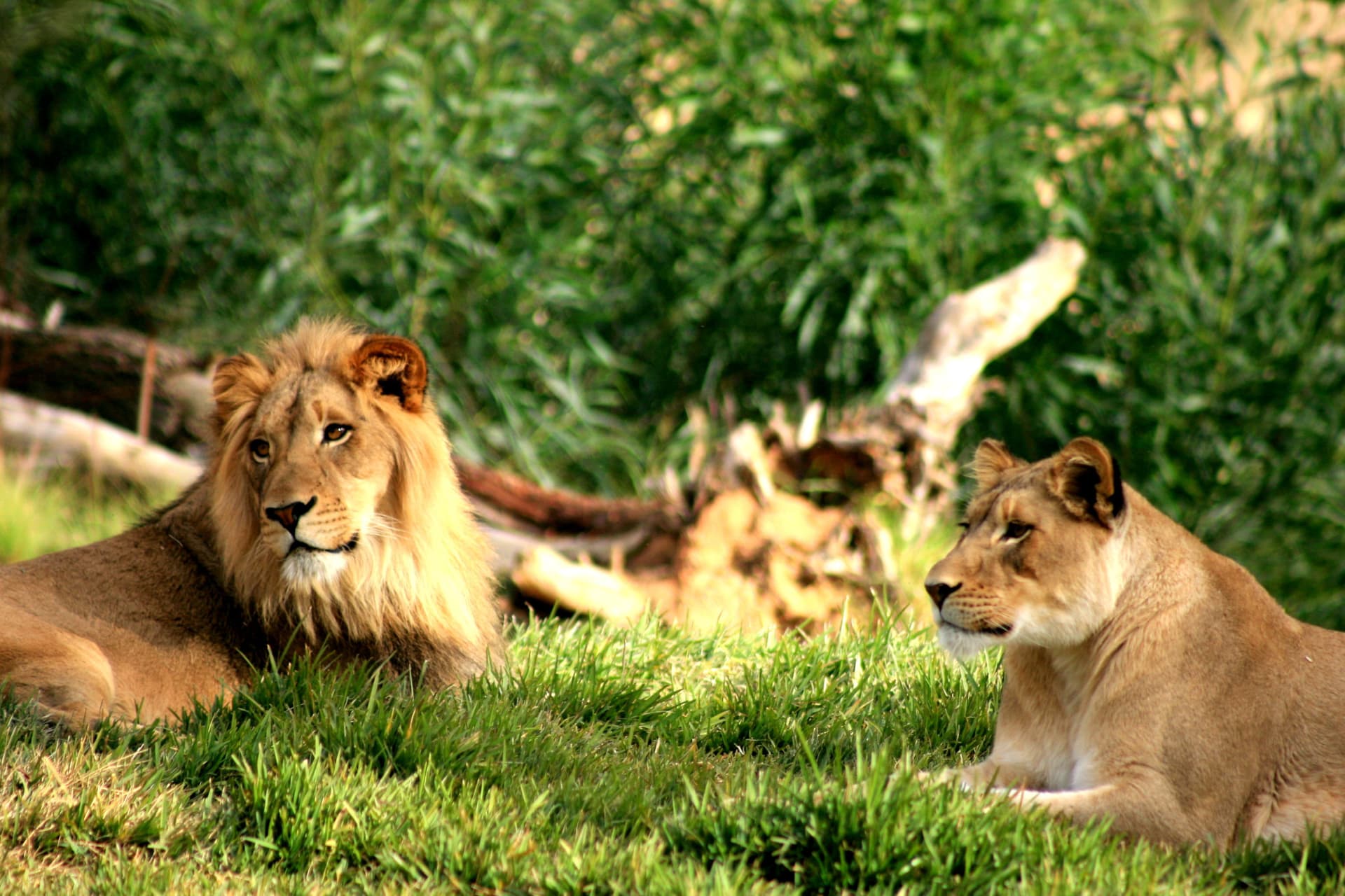 Go City Philadelphia All-Inclusive Pass: Save up to 50% on Attractions - image 31