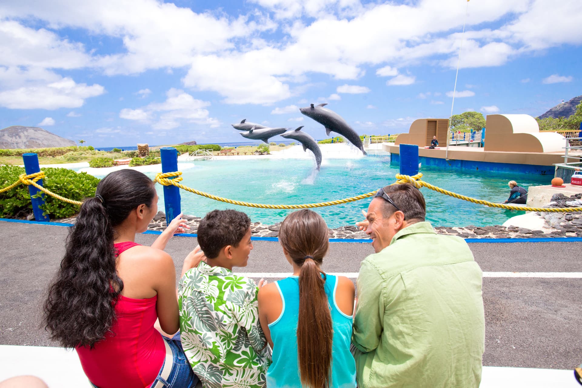 Go City Oahu Explorer Pass: Save up to 50% on Attractions - image 35