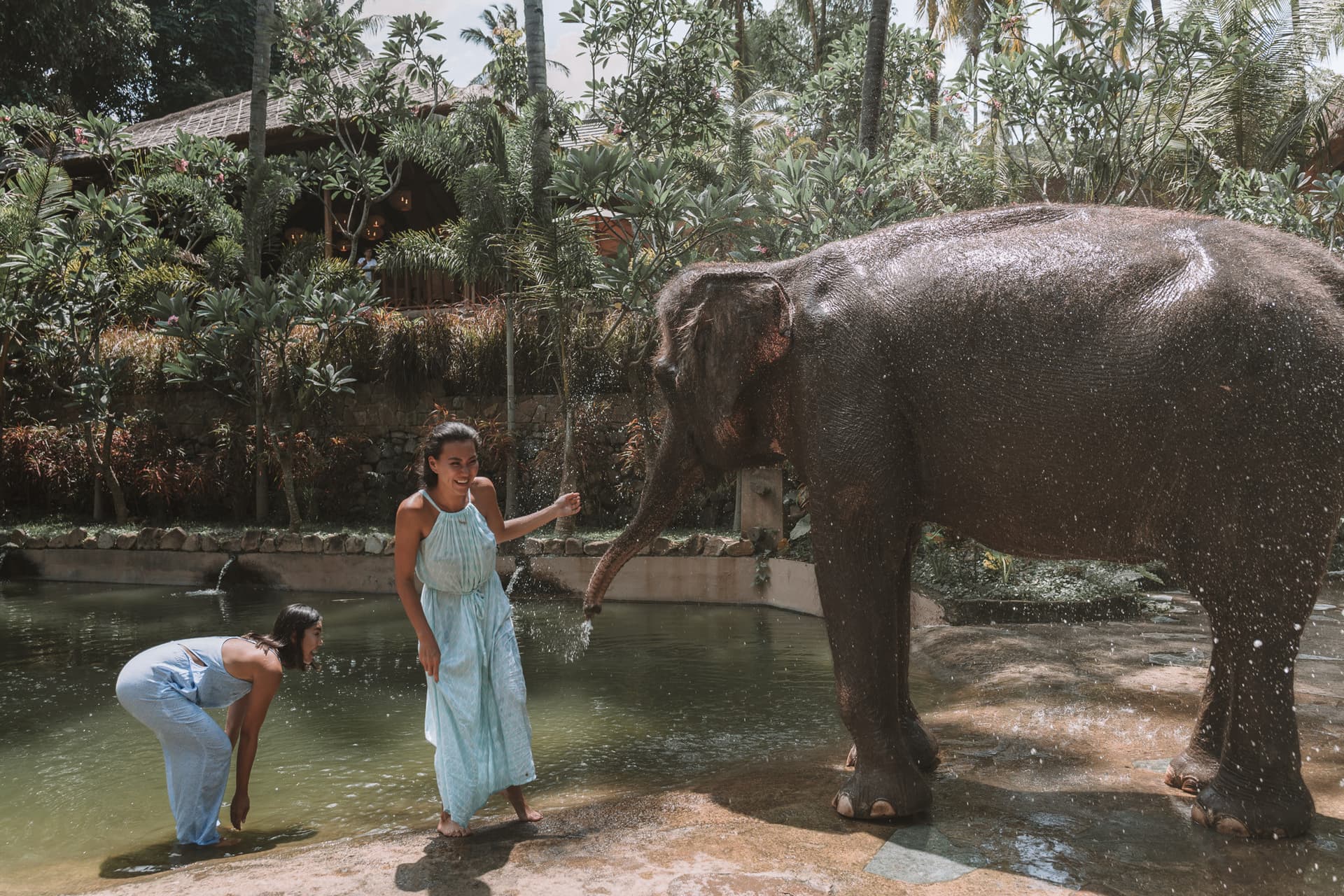 Lombok Wildlife Park Elephant Bath Experience - image 3