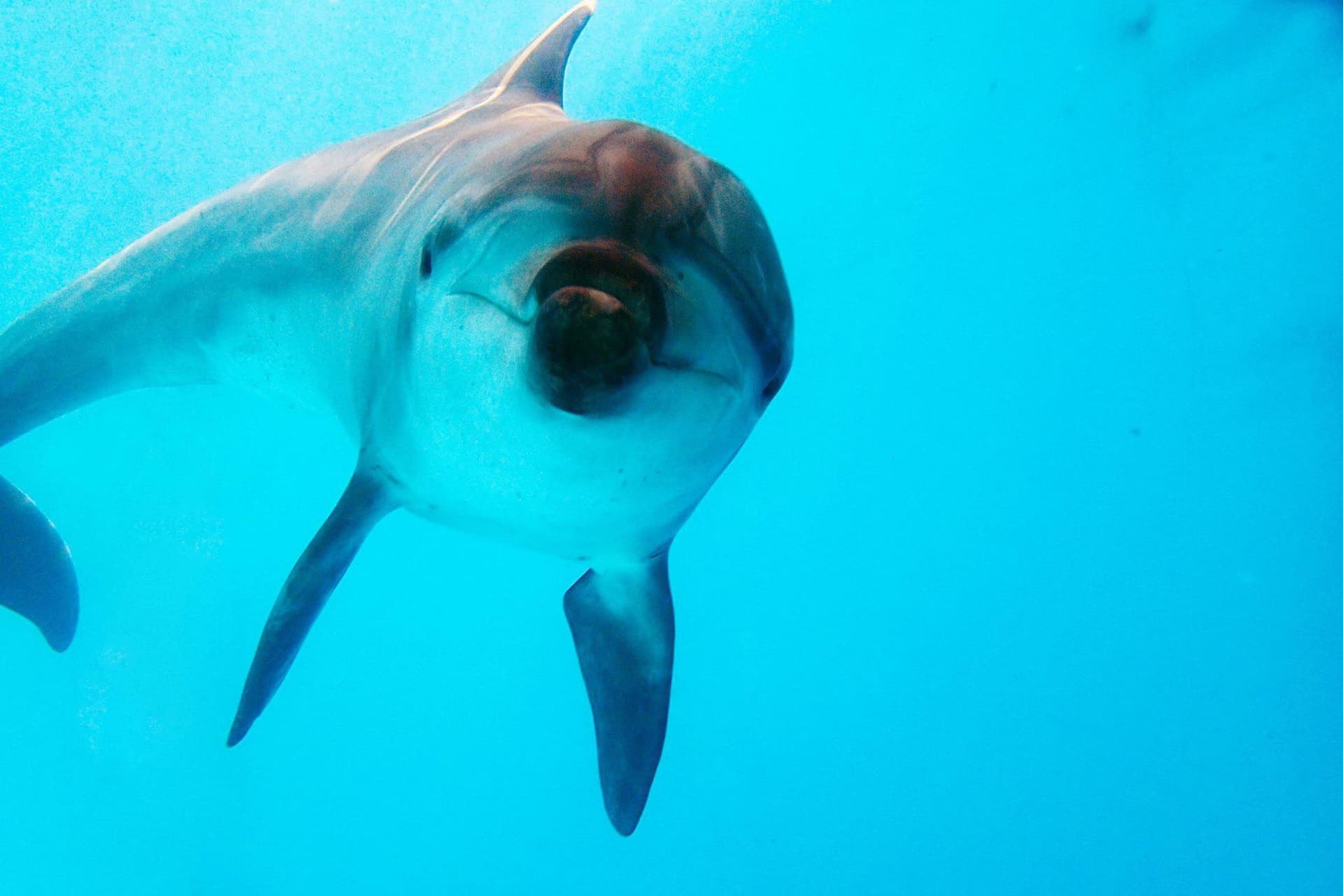 Yehliu Ocean World - main image
