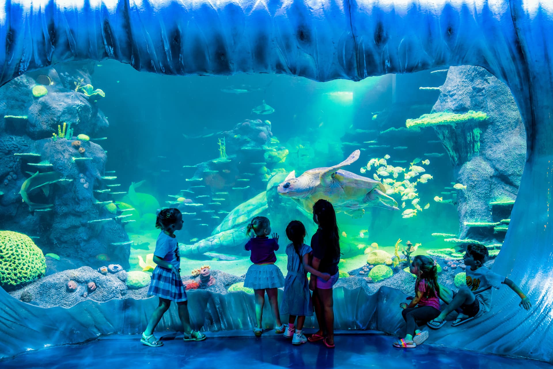 Go City Sydney Explorer Pass: Save up to 50% on Attractions - image 30
