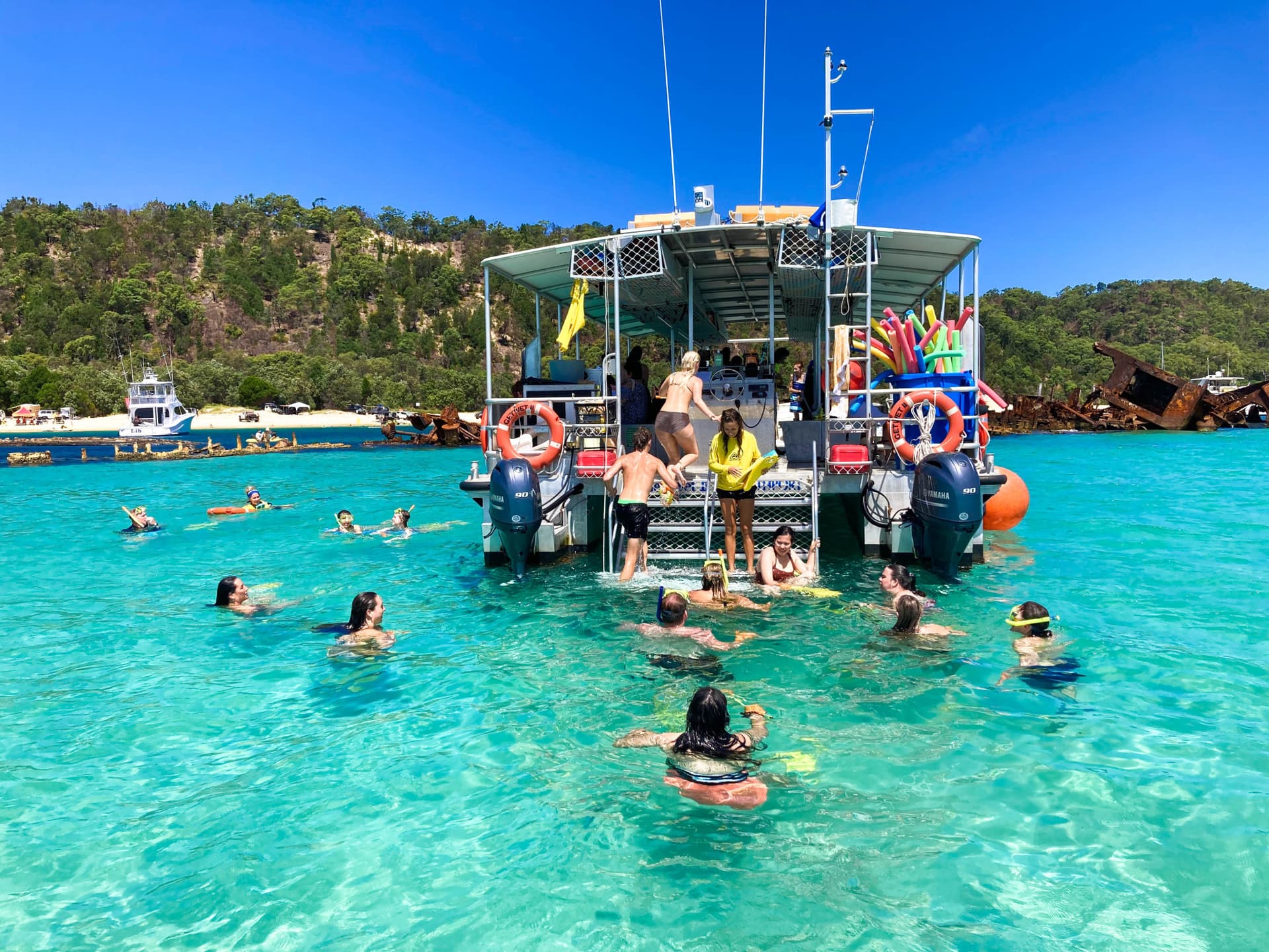 Tangalooma Wrecks & Dolphin Cruise Optional Round transfer from Brisbane City and Gold Coast - image 9