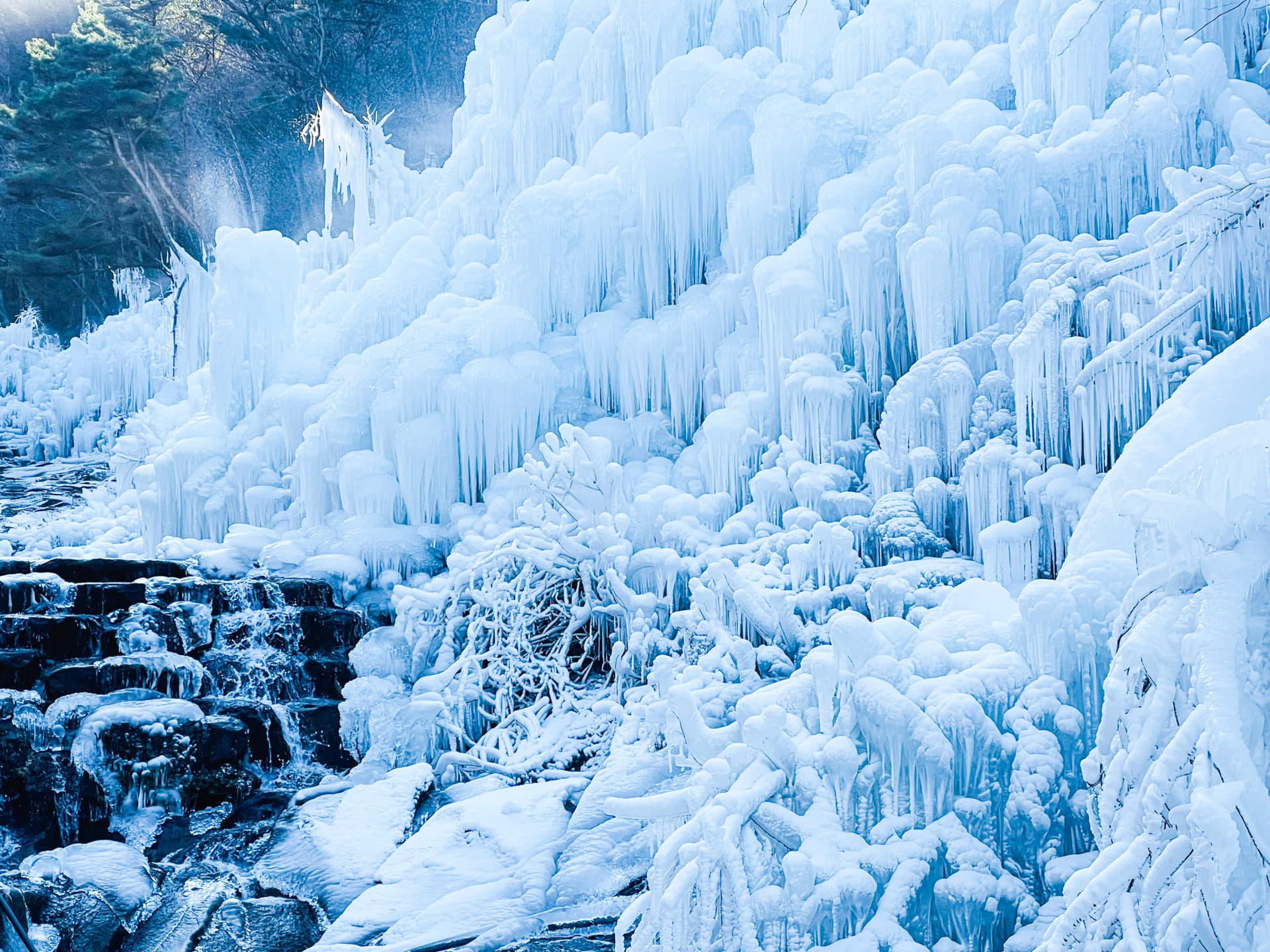 Gyeongju Kookmin Healing Park, Daegu Seomun Market, Songhae Park Ice Wall Full-Day Tour from Busan - image 10