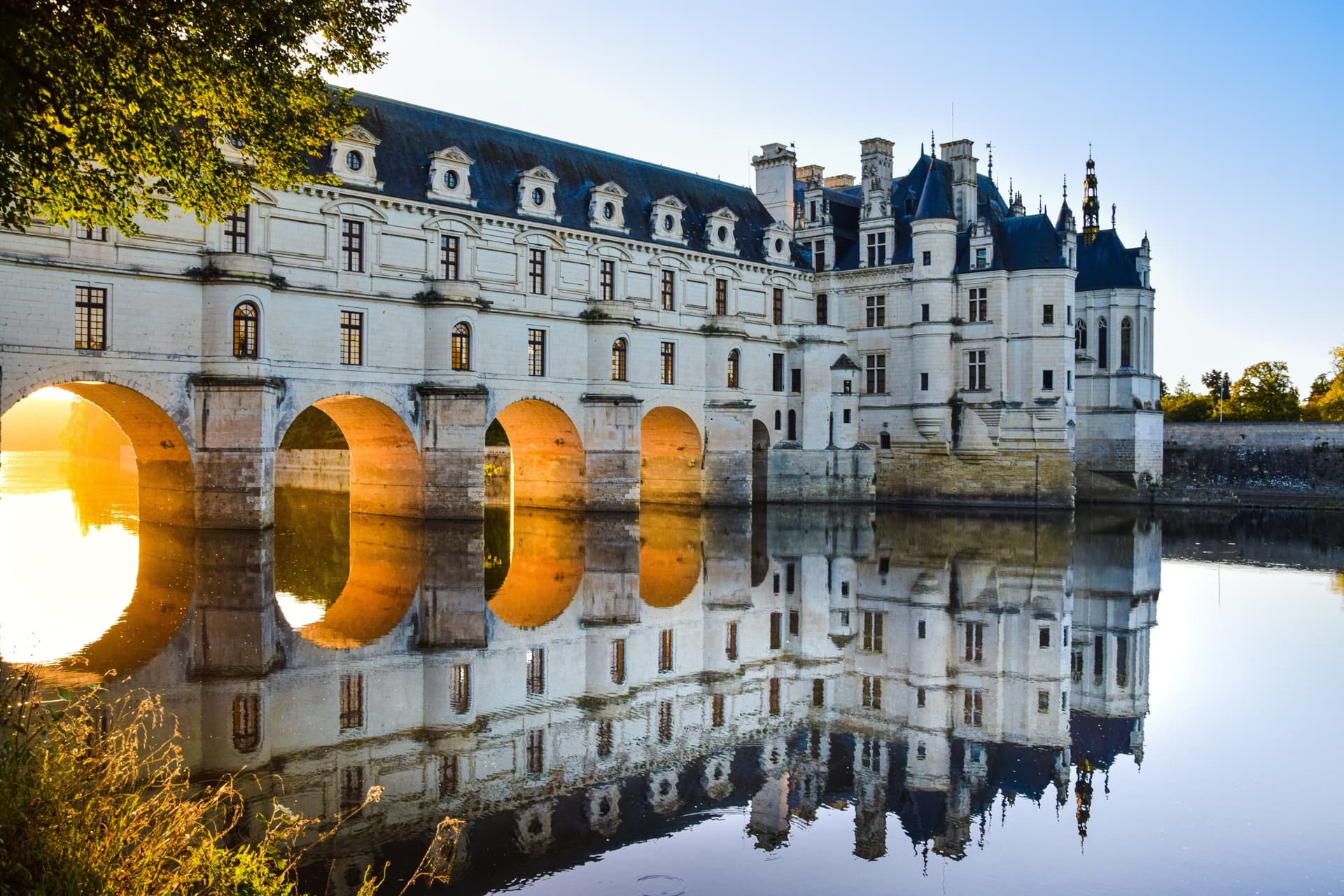 Loire Valley Tour from Paris: Chambord, Chenonceau, and Cheverny Castles - image 5