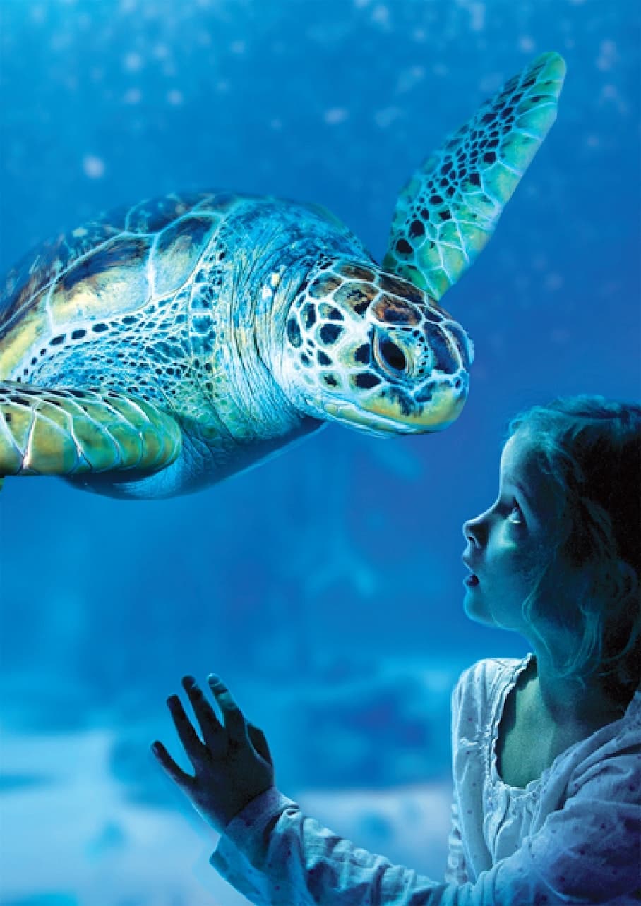 SEA LIFE Benalmádena Ticket - main image
