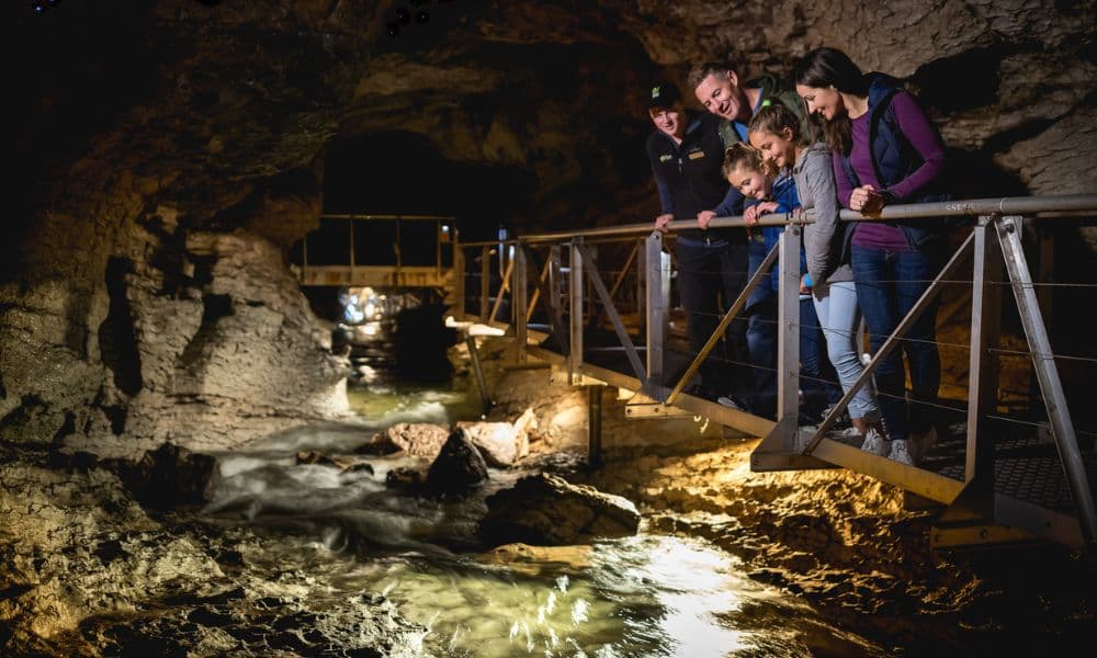 Te Anau Glowworm Caves Tour - image 4